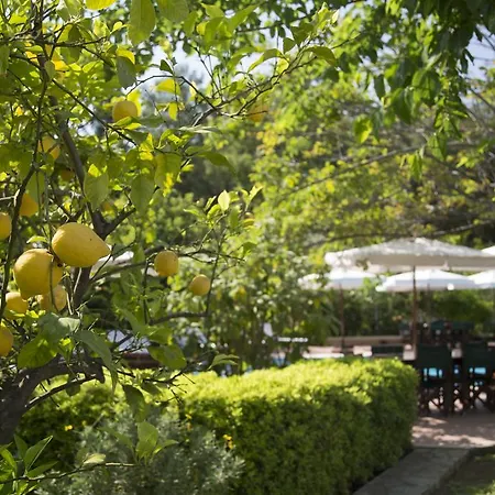Appart hôtel Mr. Dim Exclusive Göcek