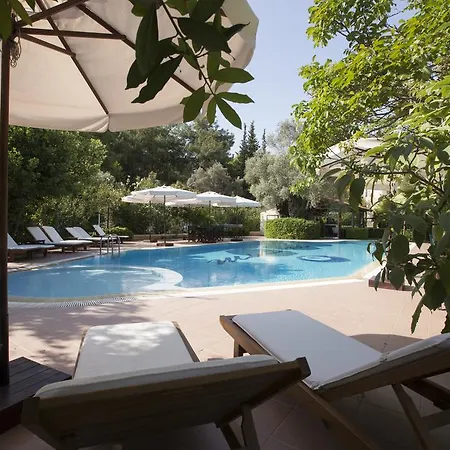 Mr. Dim Exclusive 2*