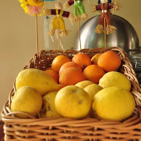 Mr. Dim Exclusive 2*