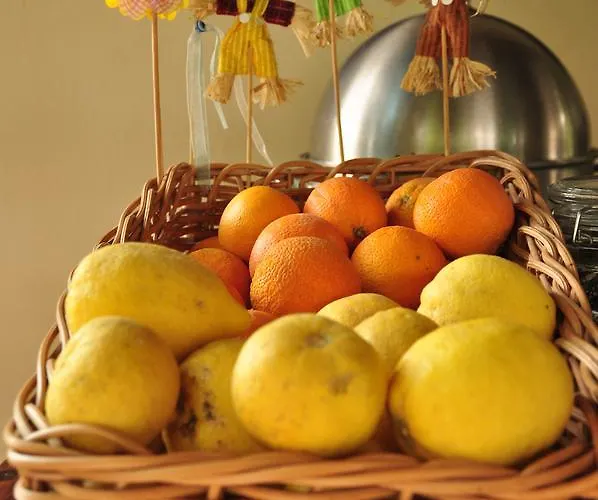 Mr. Dim Exclusive 2*