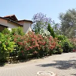 مستر ديم اكسكلوزيف الفندقية