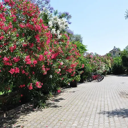 Apartahotel Mr. Dim Exclusive Göcek